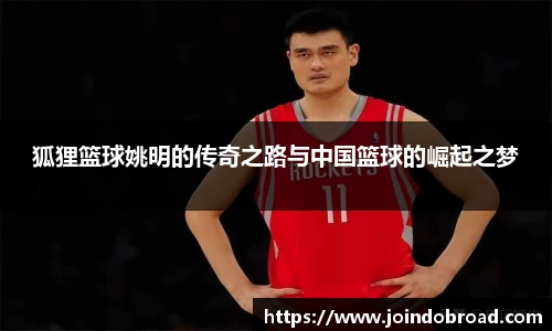 狐狸篮球姚明的传奇之路与中国篮球的崛起之梦