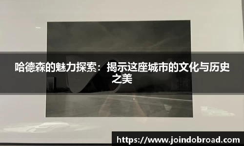哈德森的魅力探索：揭示这座城市的文化与历史之美